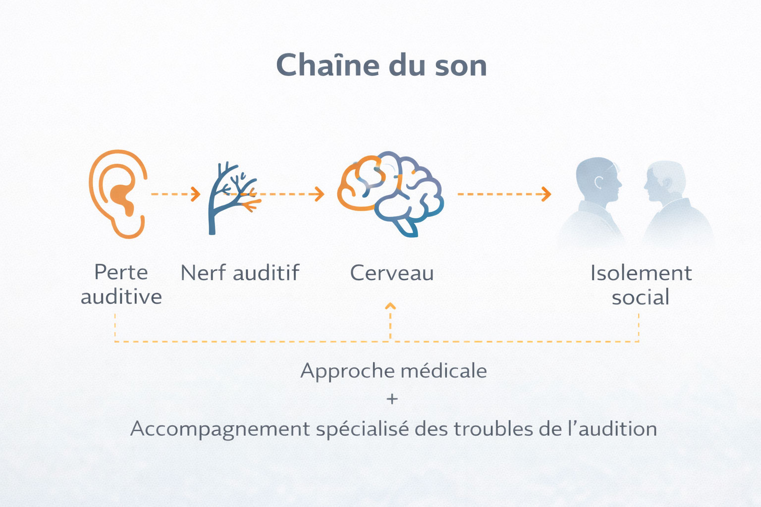 Infographie&nbsp;: Audition et grand âge – La chaine du son